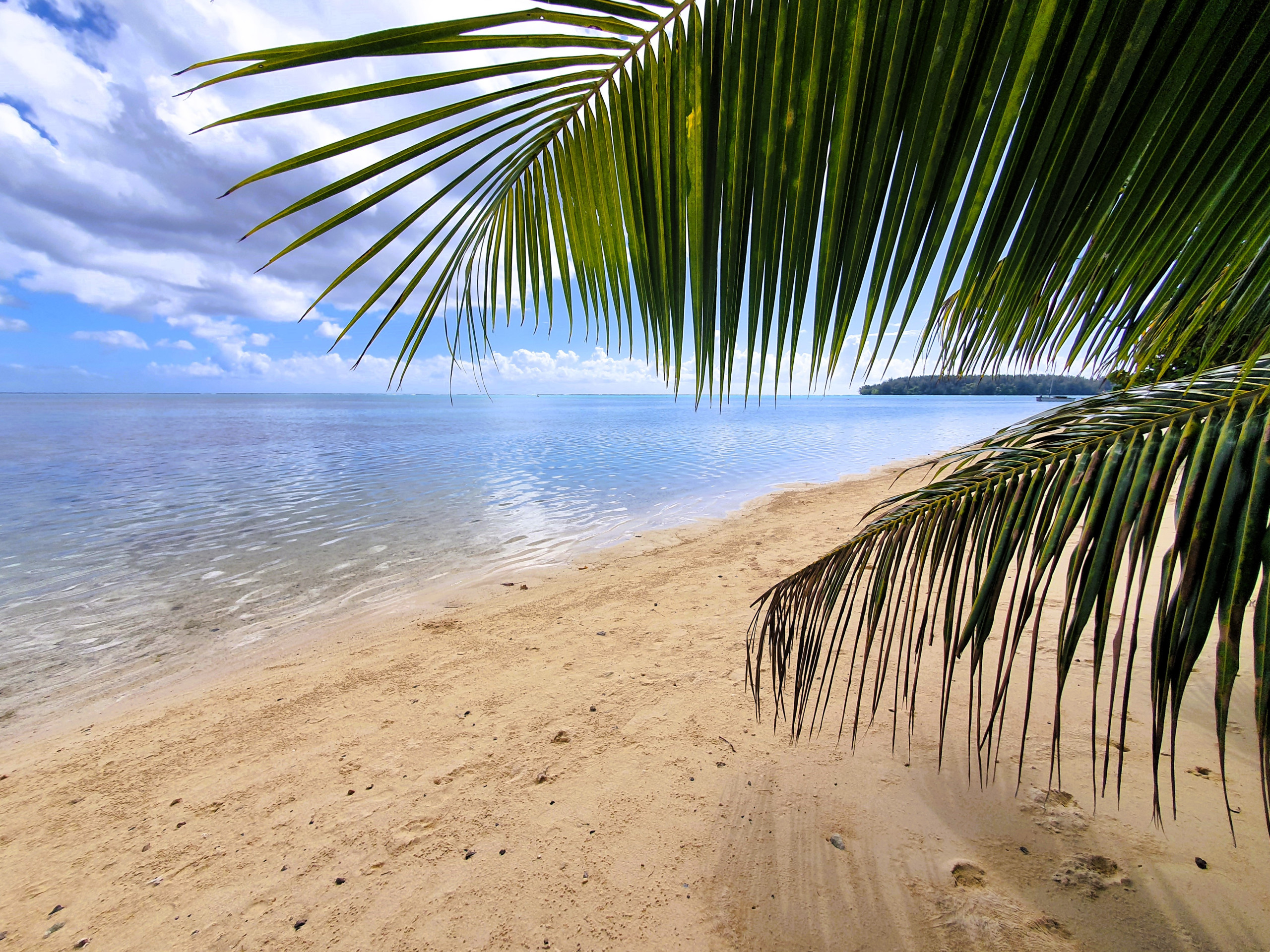  in Hauru - MOOREA - Tropical Coral Cottage