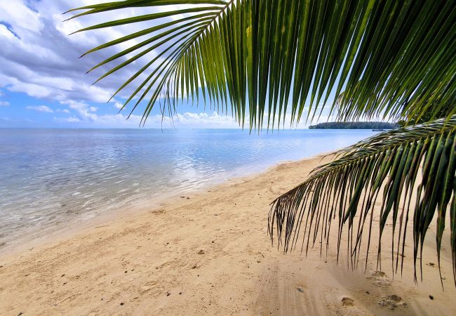Studio in Hauru - MOOREA - Tropical Coral Cottage