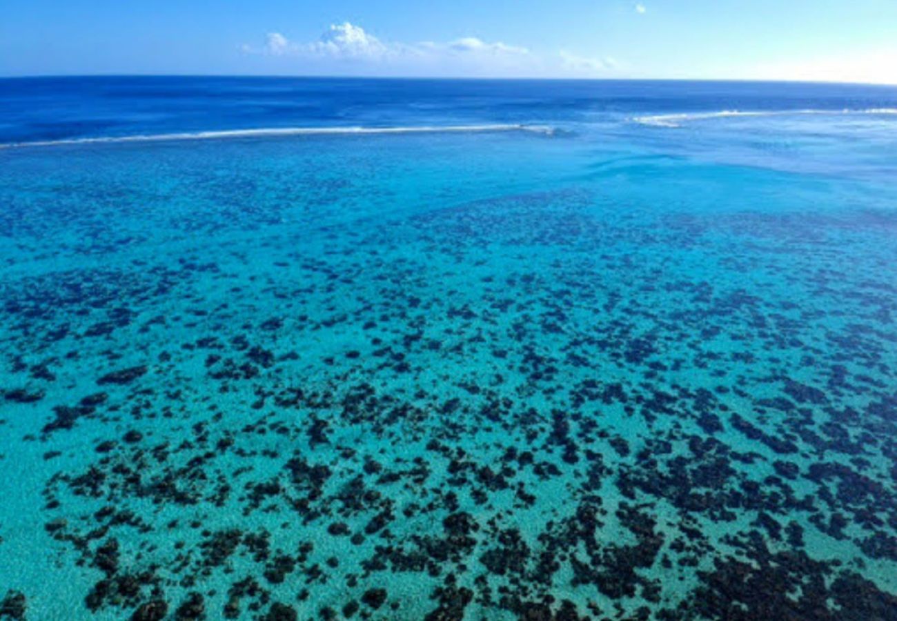 Bungalow in Haapiti - MOOREA - Fare Taina Iti