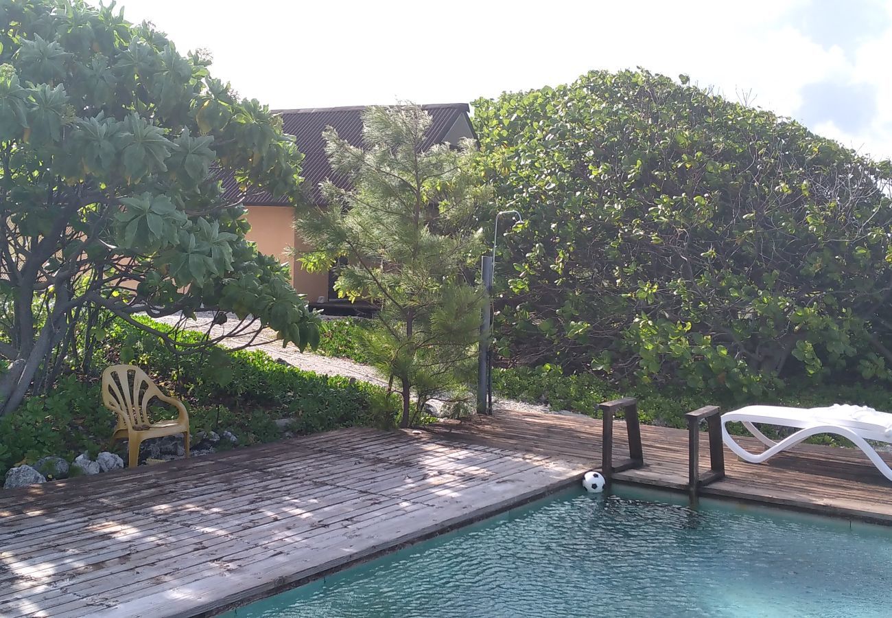 Bungalow in Fakarava  - FAKARAVA - Teariki Lodge 2