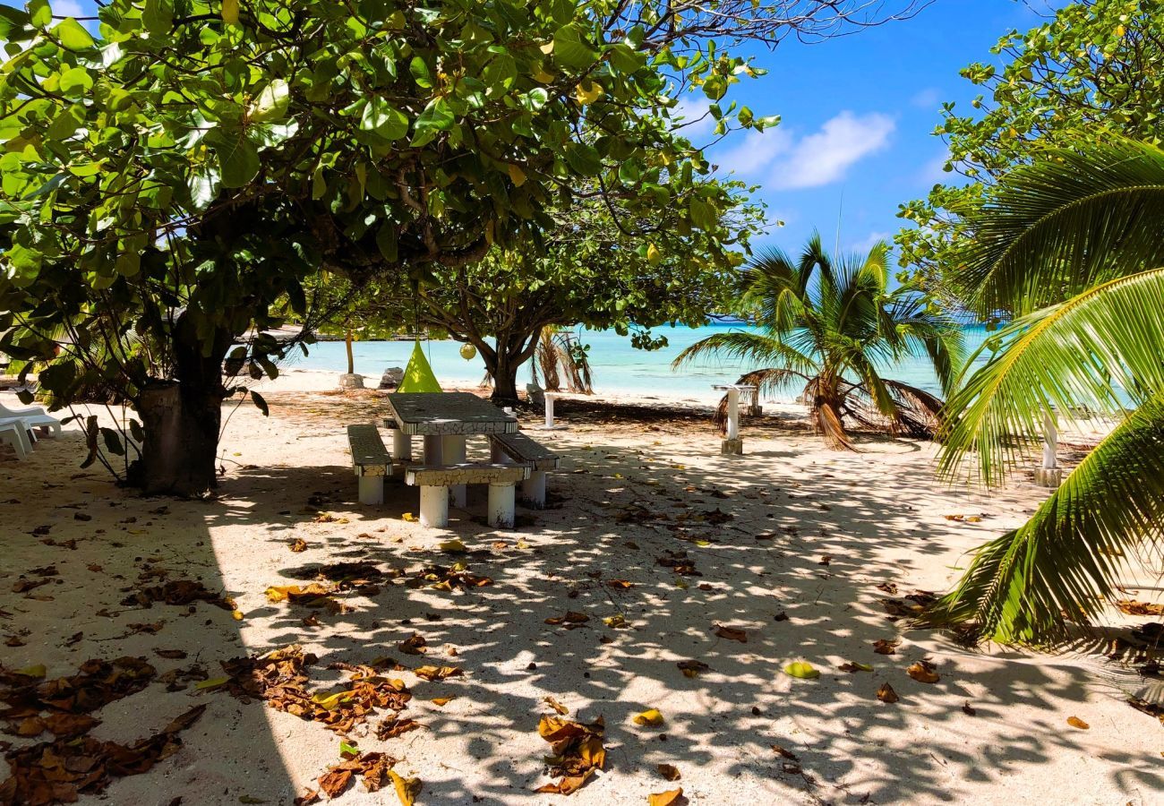 Bungalow in Makemo - MAKEMO - The Lost Paradise Garden Pae