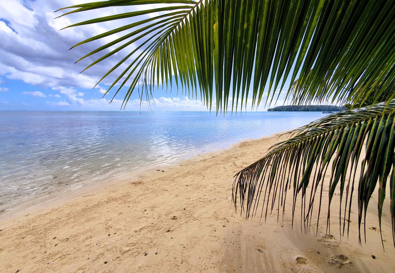 Studio in Hauru - MOOREA - Tropical Coral Cottage