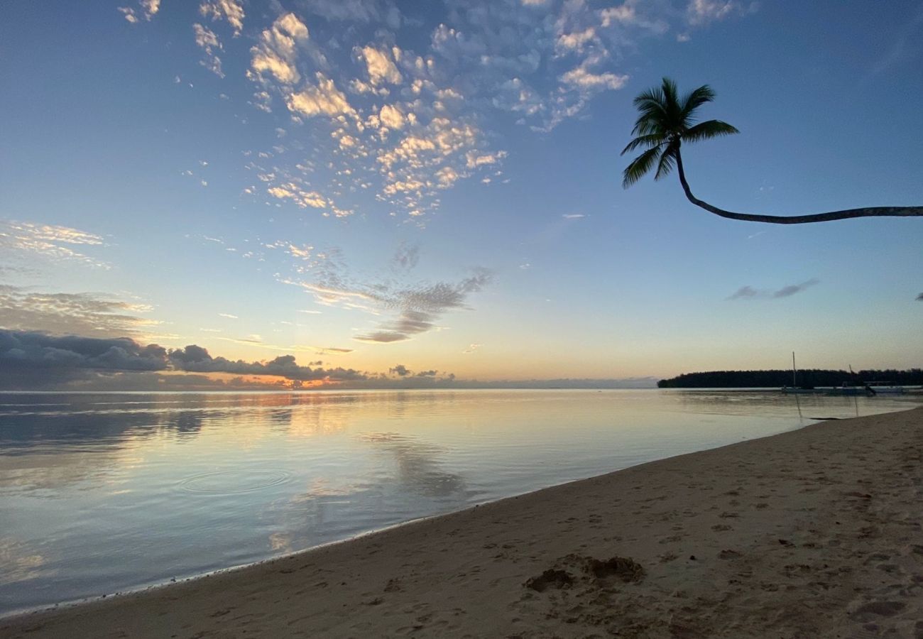 Studio in Hauru - MOOREA - Tropical Coral Cottage